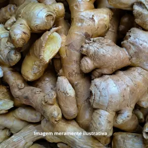 Gengibre Raiz: Uma Explosão de Sabor e Benefícios para a Saúde