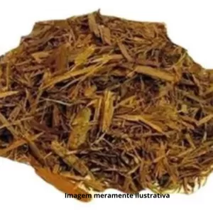 Raiz de Vergateza: Tesouro Medicinal da Natureza