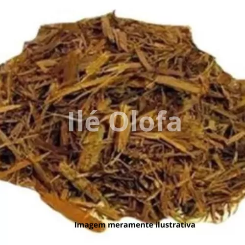 Raiz de Vergateza: Tesouro Medicinal da Natureza