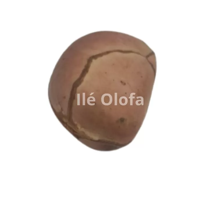 Obi bata (Obi africano de 4 gomos)