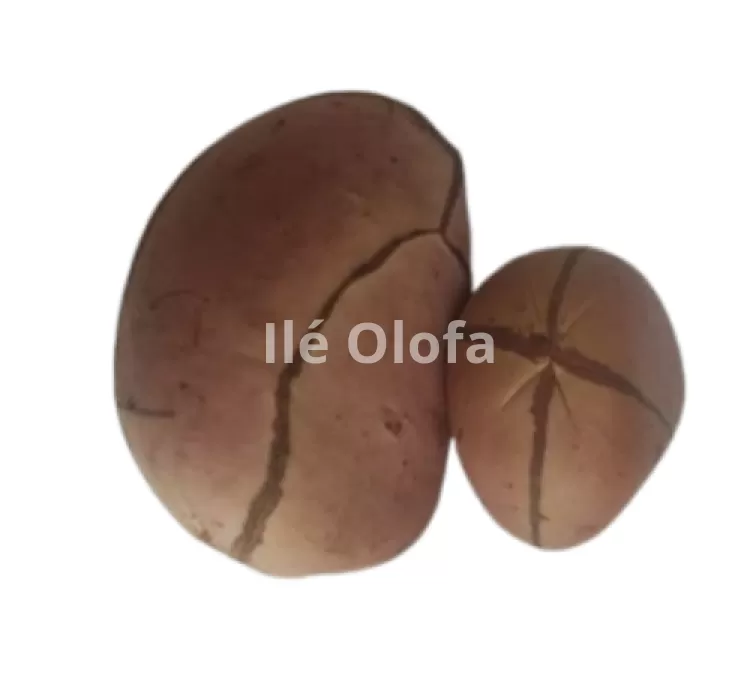 Obi bata (Obi africano de 4 gomos)