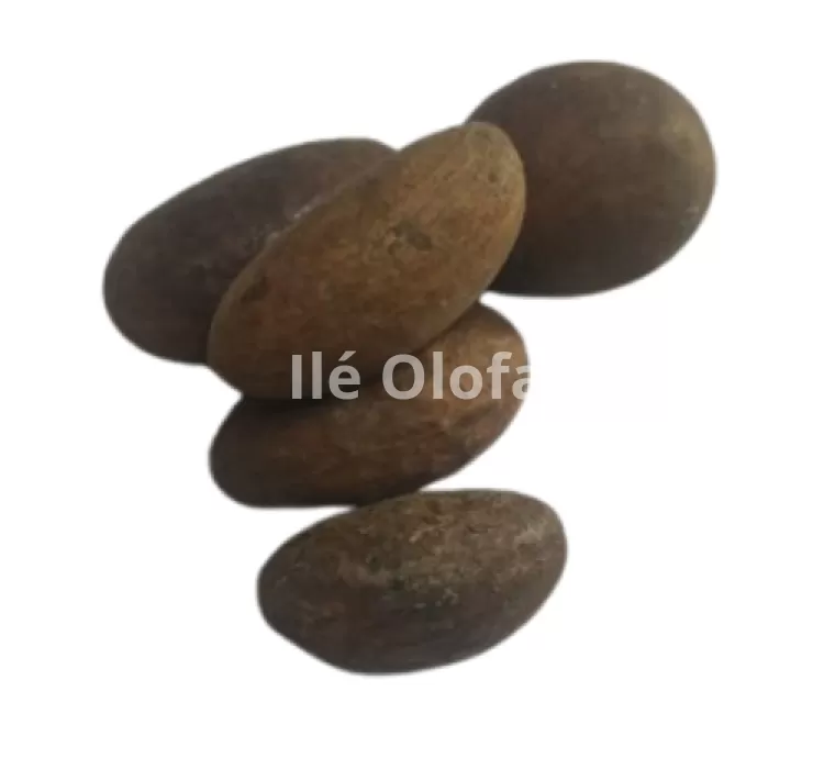 Orogbo Africano