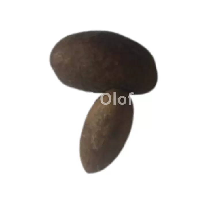 Orogbo Africano