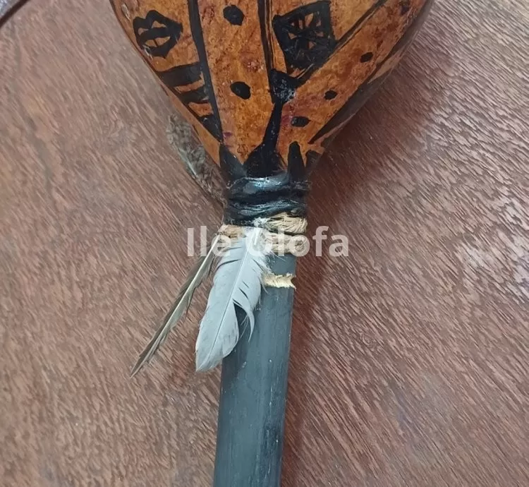 Maracá africana