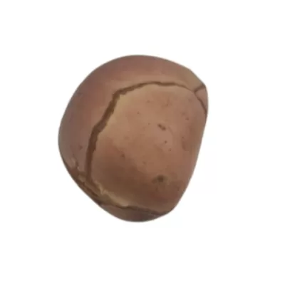 Obi bata (Obi africano de 4 gomos)