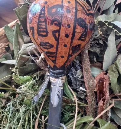Maracá africana