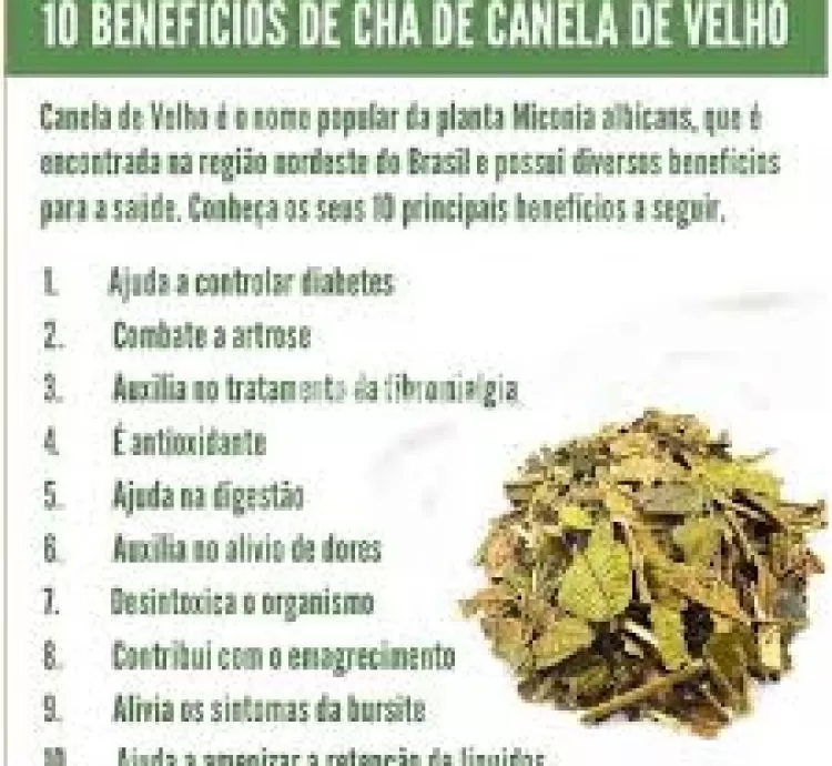 Ervas Secas: Seu Caminho para o Bem-Estar e Equilíbrio