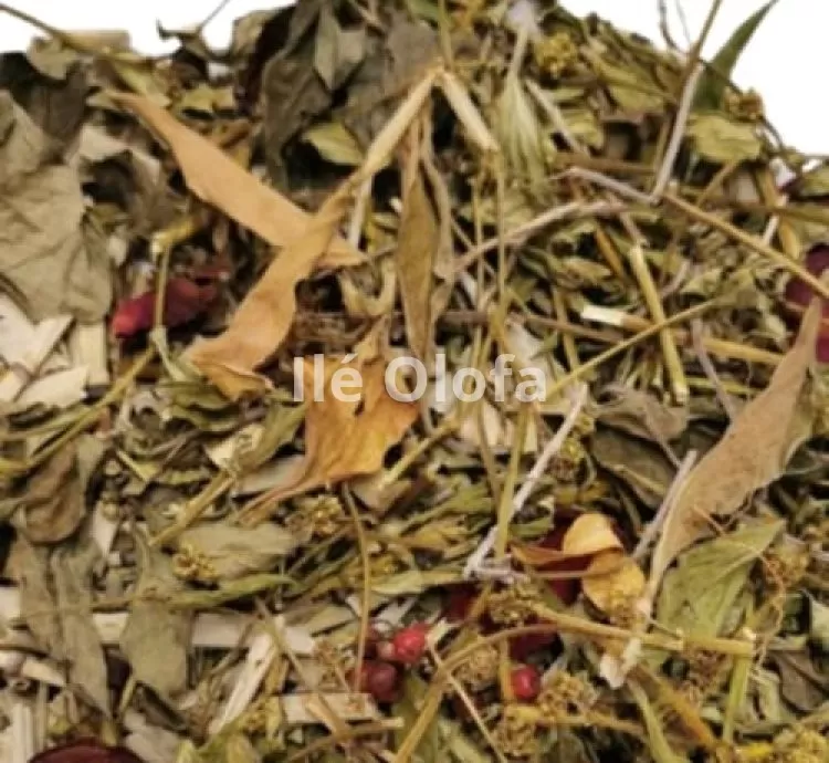 Banho de Descarrego Forte Ervas Olofa