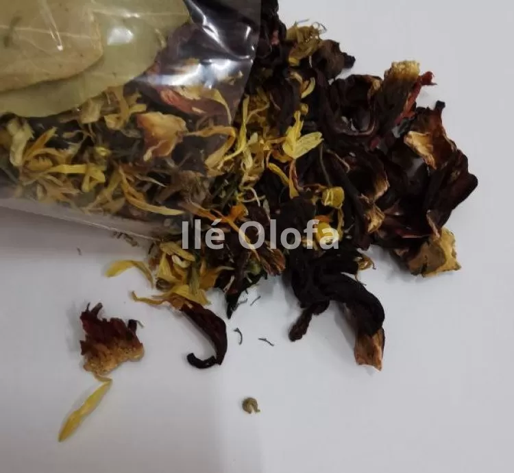 Banho de Ervas para Fogo no Periquito