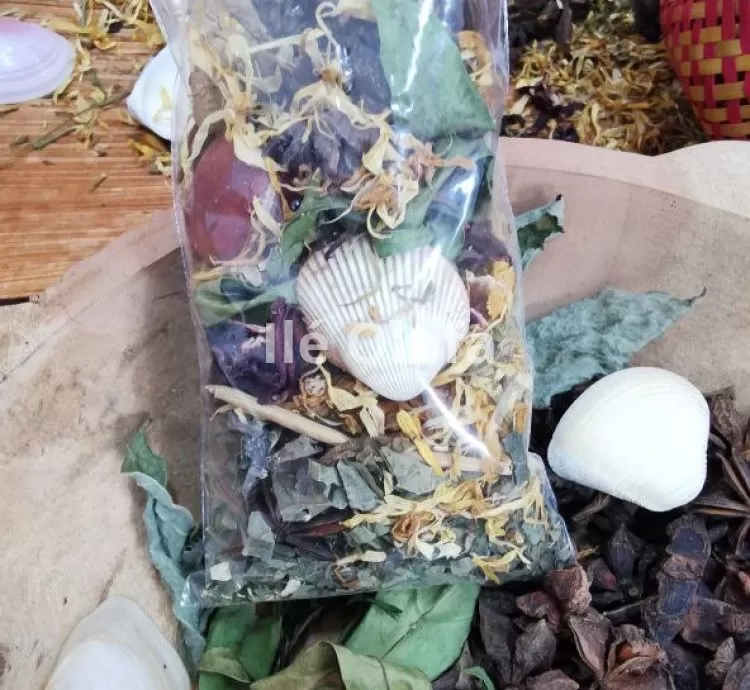 Banho de Ervas para Fogo no Periquito