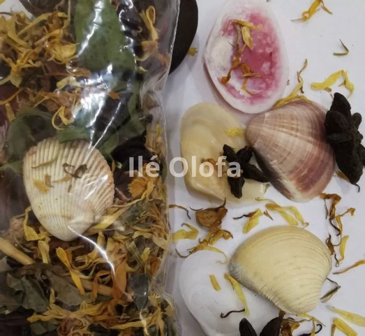 Banho de Ervas para Fogo no Periquito