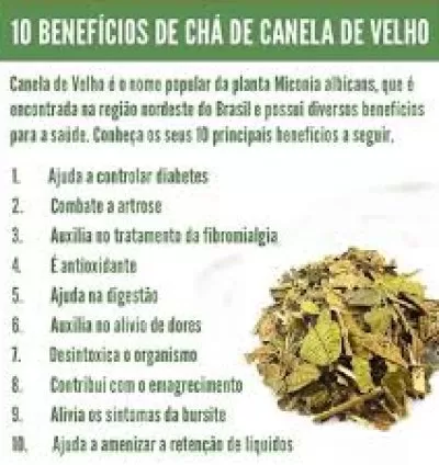 Ervas Secas: Seu Caminho para o Bem-Estar e Equilíbrio 5