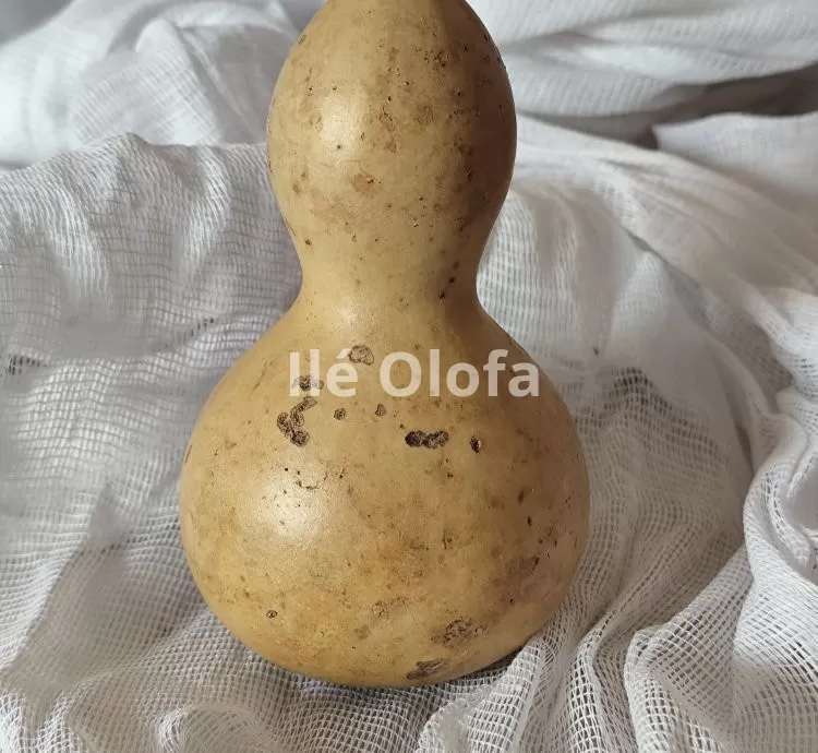 Cabaça: Recipiente Ancestral de Força e Simbolismo
