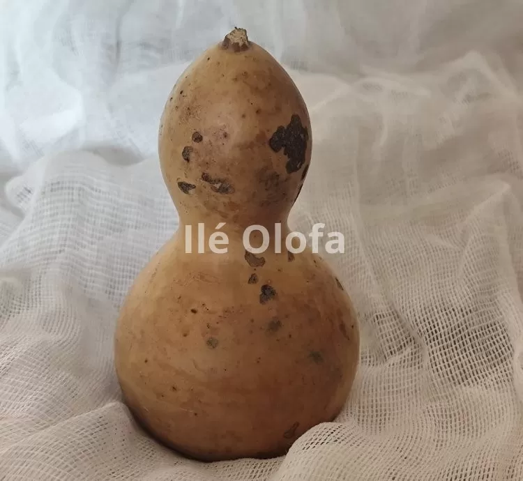 Cabaça: Recipiente Ancestral de Força e Simbolismo
